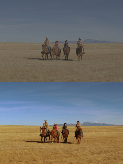 Majestic Cinematic LUT Pack