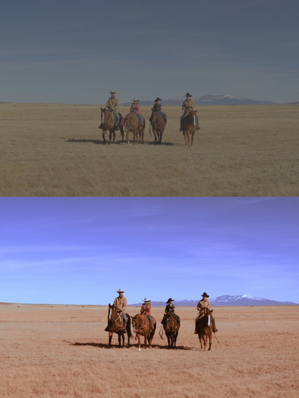 Majestic Cinematic LUT Pack