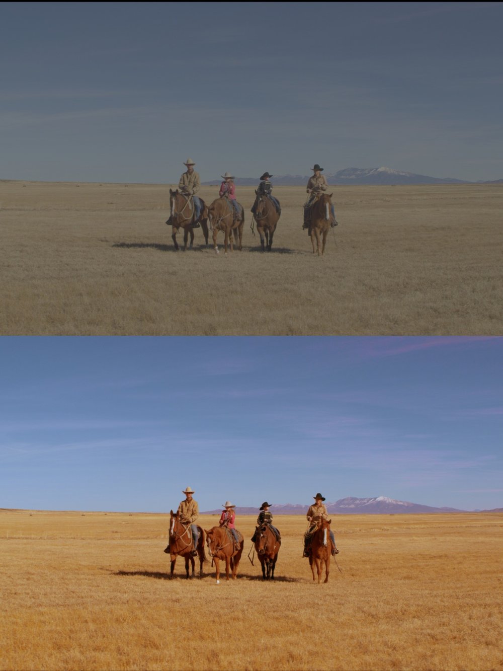 Majestic Cinematic LUT Pack