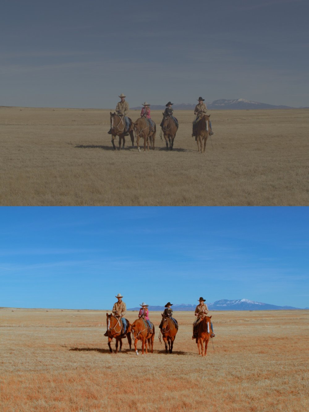 Majestic Cinematic LUT Pack