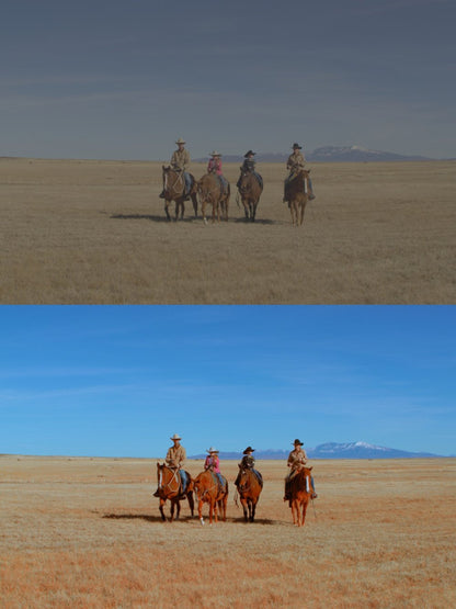 Majestic Cinematic LUT Pack