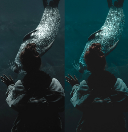 Travel Preset Pack! - Lightroom & Photoshop